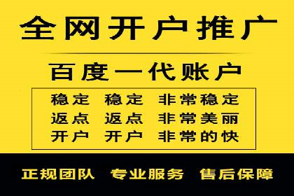 专业SEM代运营推广公司成功案例分享